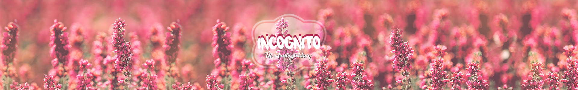 || incognito.gp ||